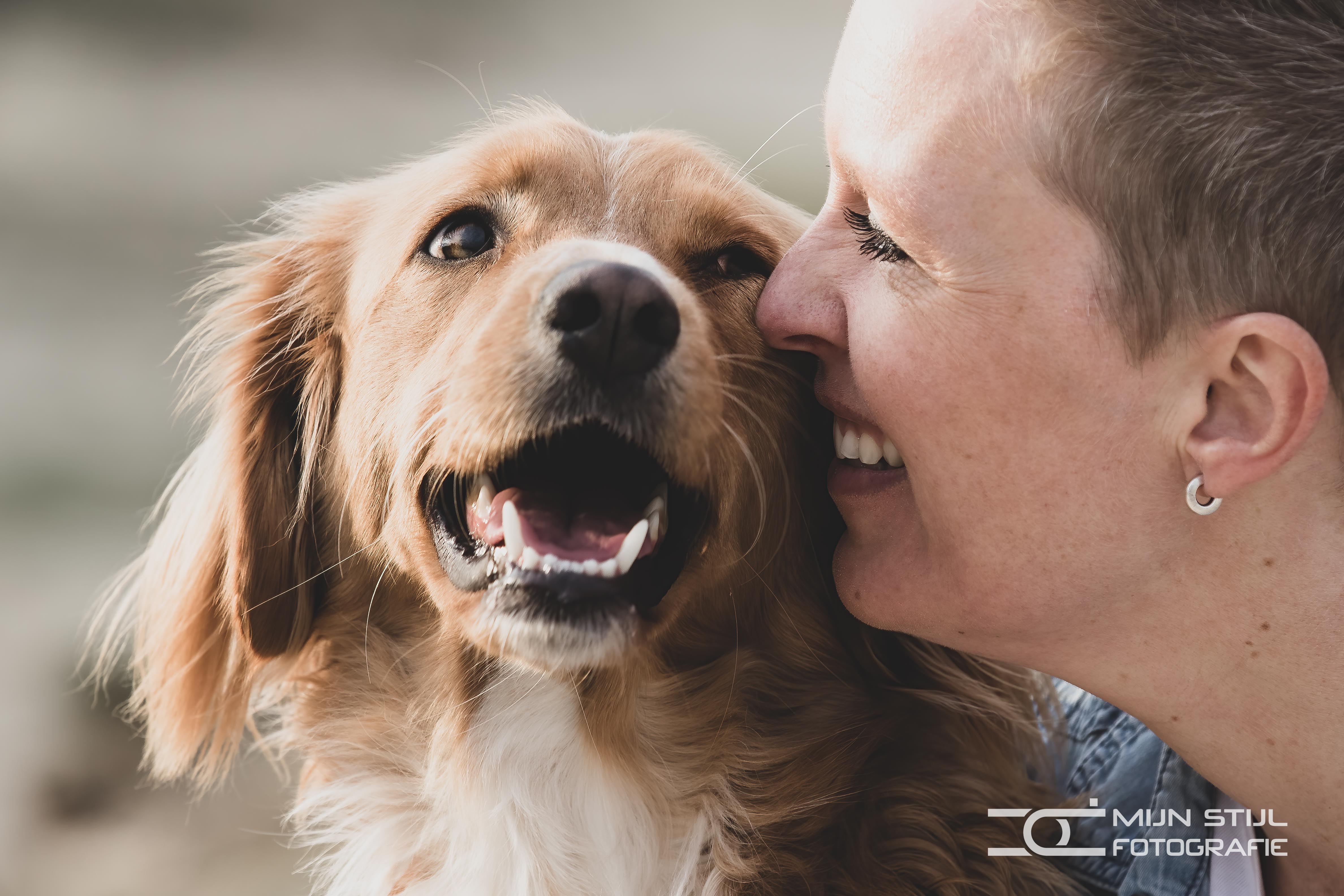 Een baasje geeft zijn vrolijke golden retriever een kus tijdens een fotoshoot van Mijn Stijl Fotografie